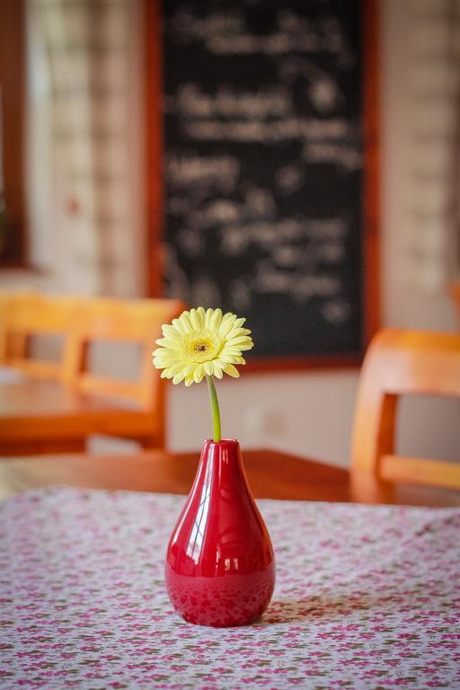 빌라니 Diofa Panzio B&B 외부 사진