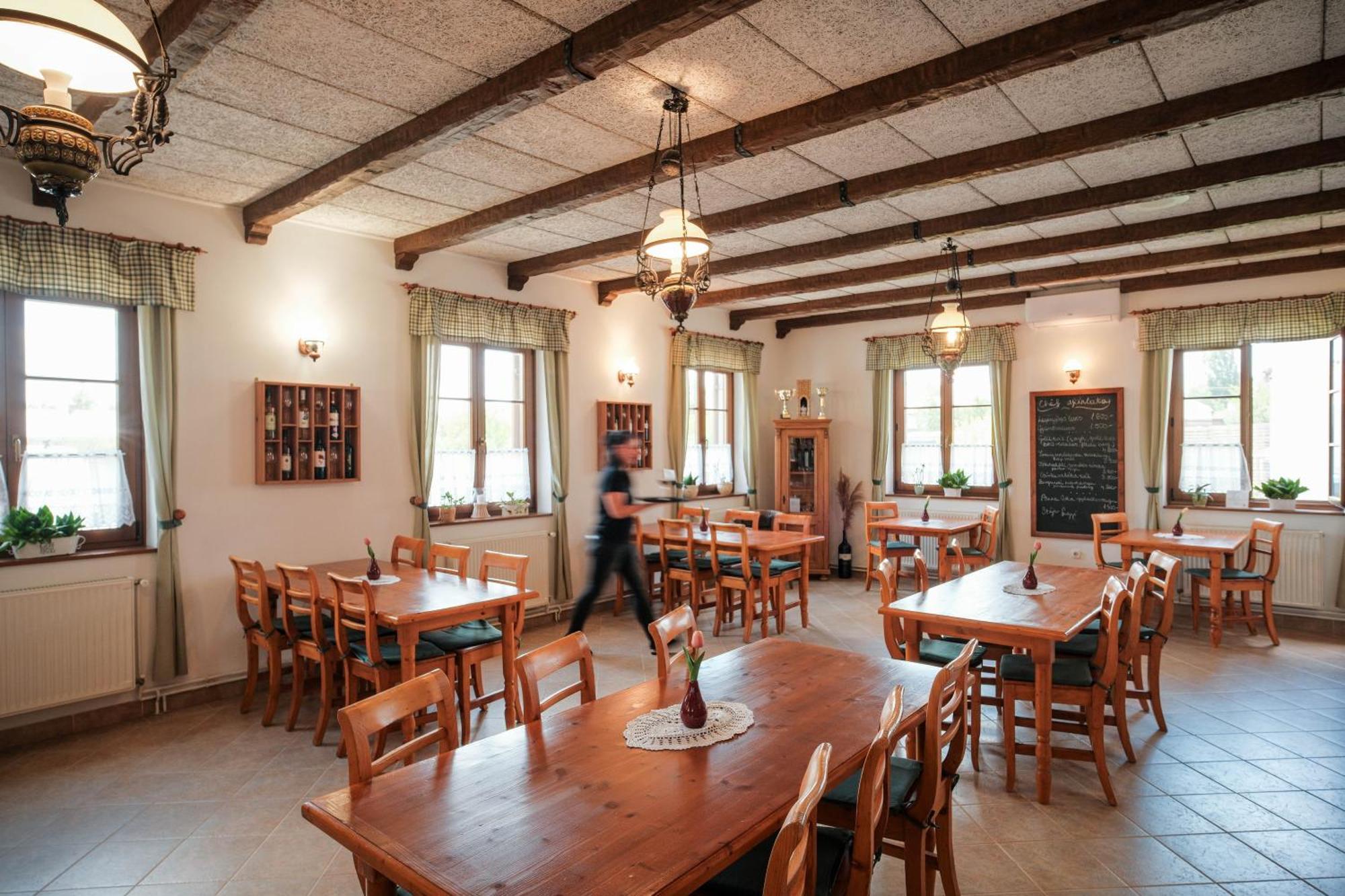 빌라니 Diofa Panzio B&B 외부 사진
