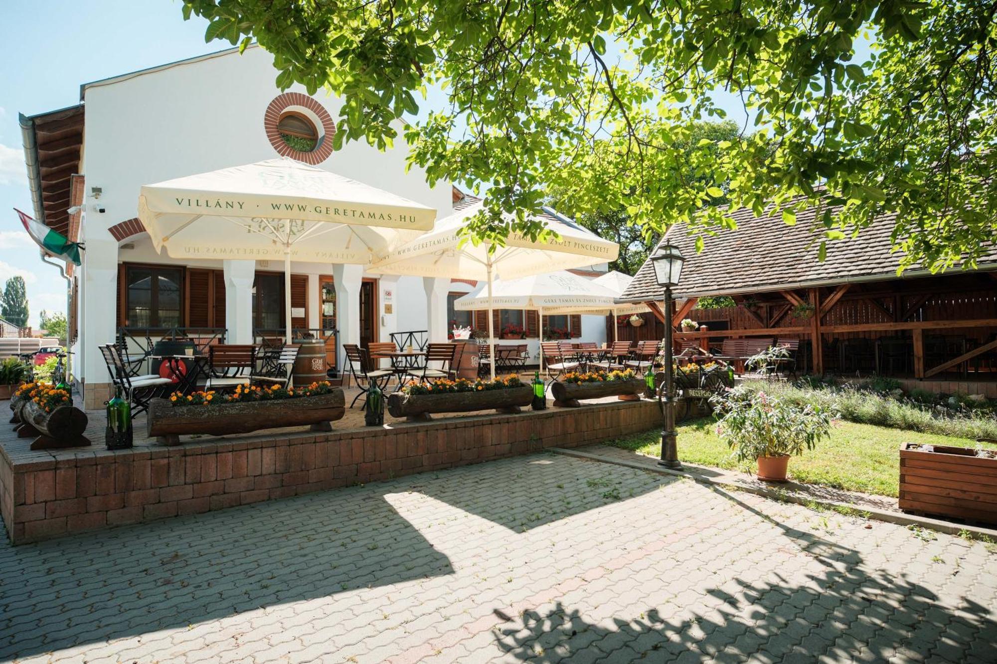 빌라니 Diofa Panzio B&B 외부 사진